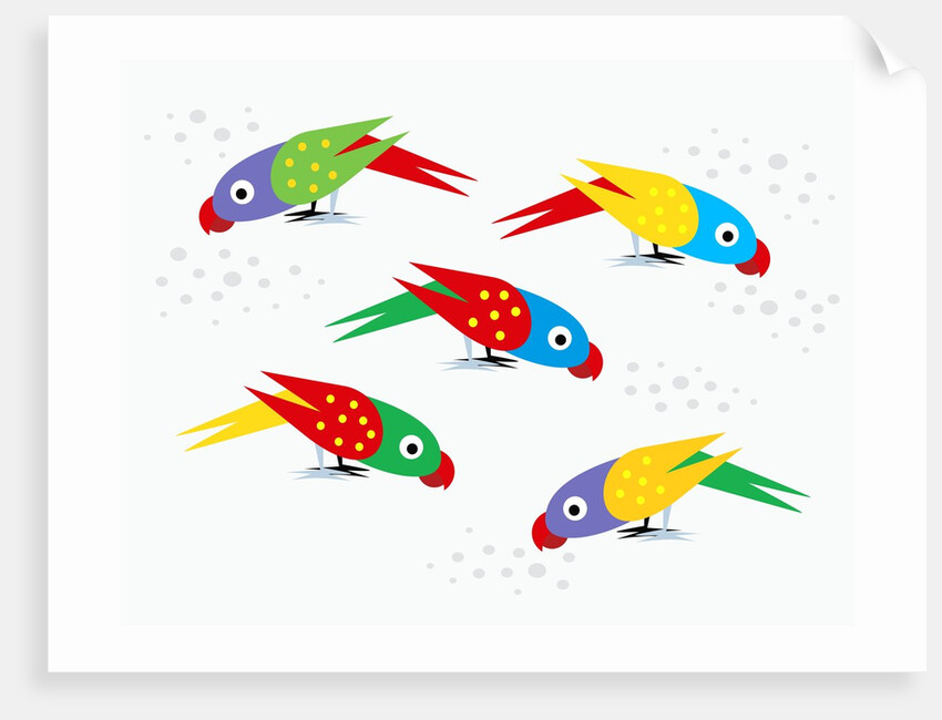 Five parrots pecking birdseed by Anonymous