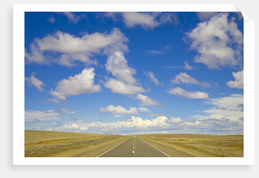 Paved Highway across Pampas by Anonymous