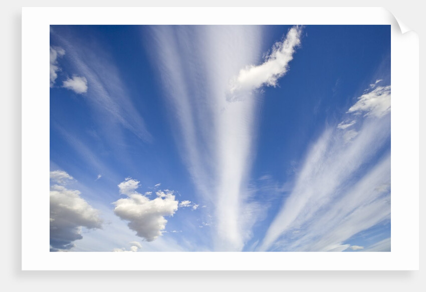 Lenticular and Cumulus Clouds by Anonymous