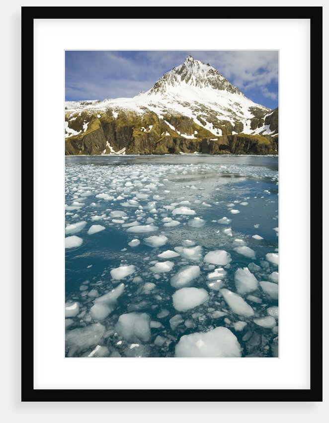 Ice Chunks From Twitcher Glacier Below the Salvesen Range by Anonymous