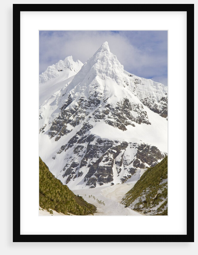 Snowy Peak Towering over King Penguins and Fur Seals by Anonymous
