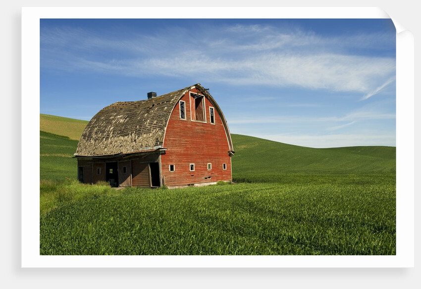 Red Barn in Palouse Country by Anonymous