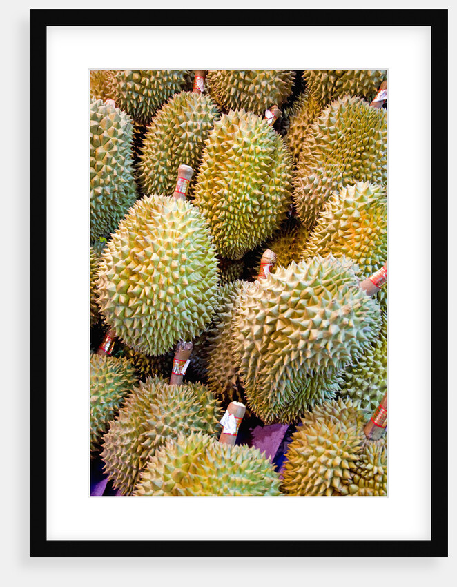 Durian at Tai Po Market in Hong Kong by Anonymous