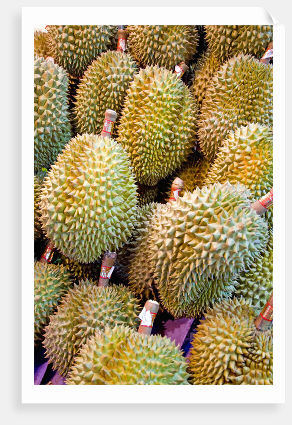 Durian at Tai Po Market in Hong Kong by Anonymous