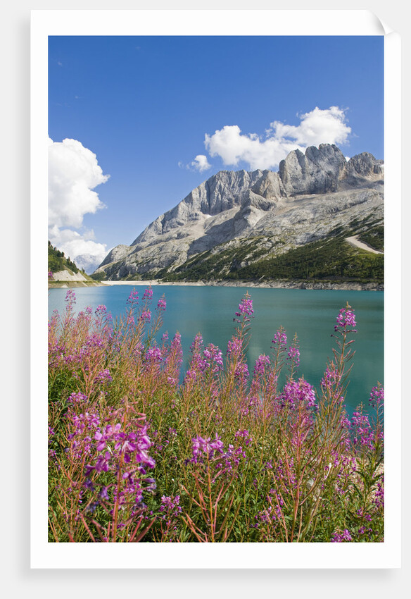 Fedaia Lake and Marmolada by Anonymous