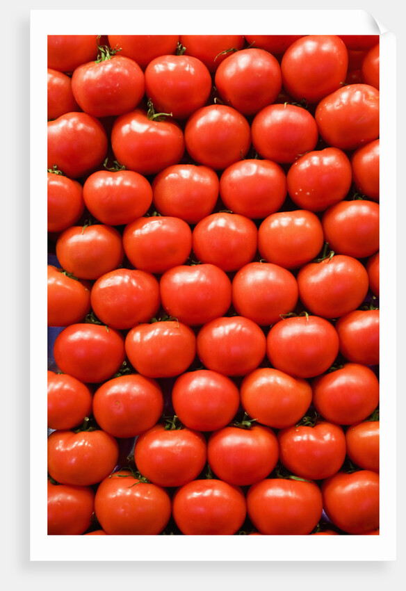 Tomatoes at Boqueria Market in Barcelona by Anonymous