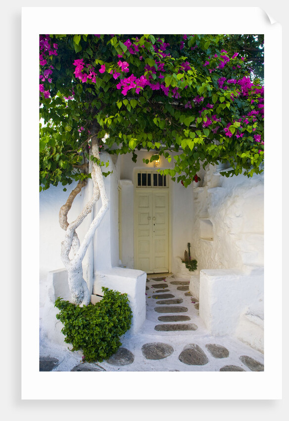 Storefront with Colorful Bougainvillea by Anonymous