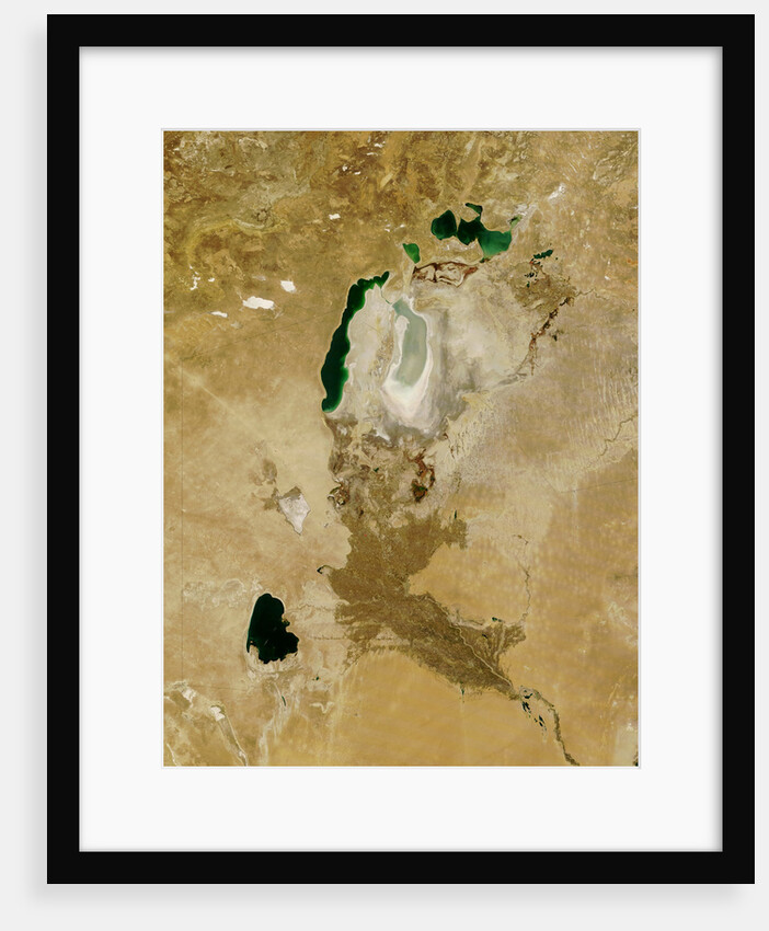 Low Earth Orbit View of the Aral Sea by Anonymous