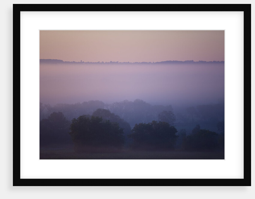 Early Morning Mist by Anonymous