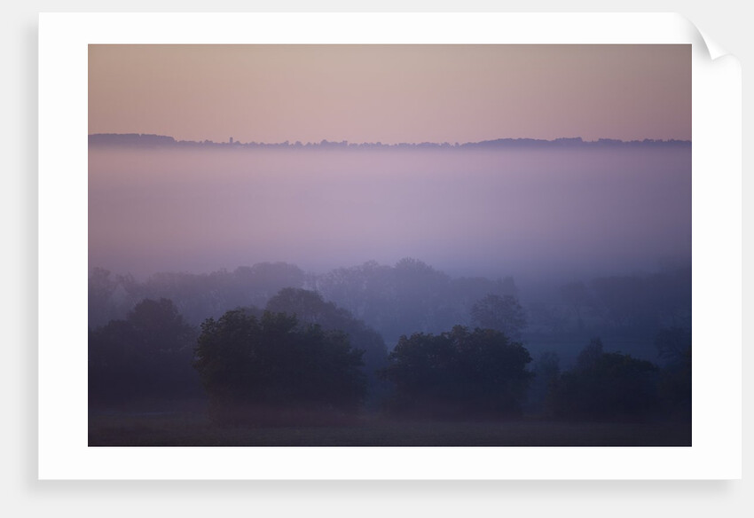 Early Morning Mist by Anonymous