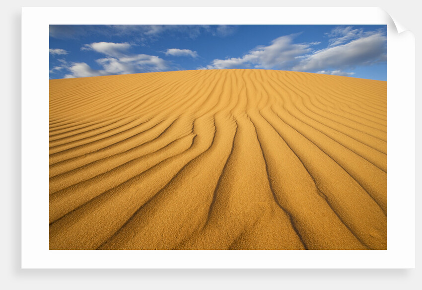 Sand Dune in the Kalahari Desert by Anonymous