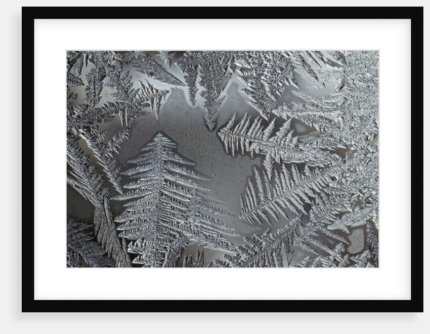 Ice crystals by Anonymous
