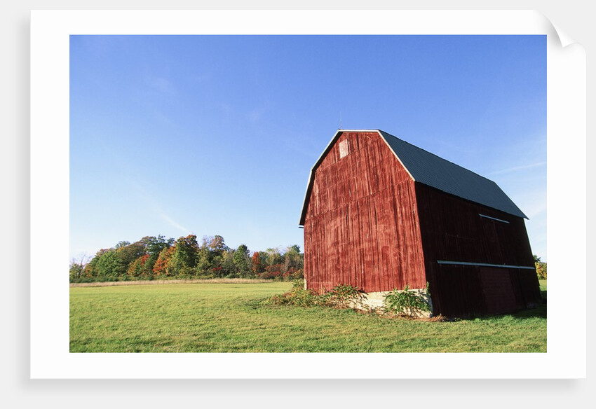 Barn in a field by Anonymous