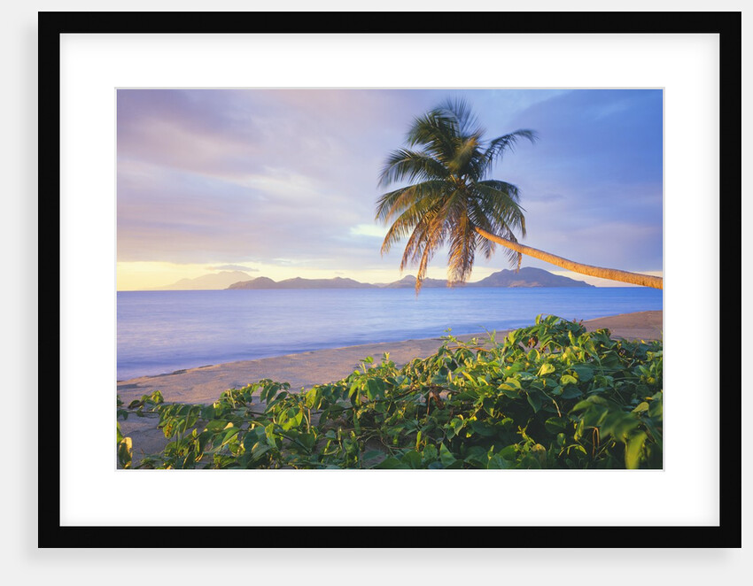 Pinney's Beach, Island of Nevis by Anonymous