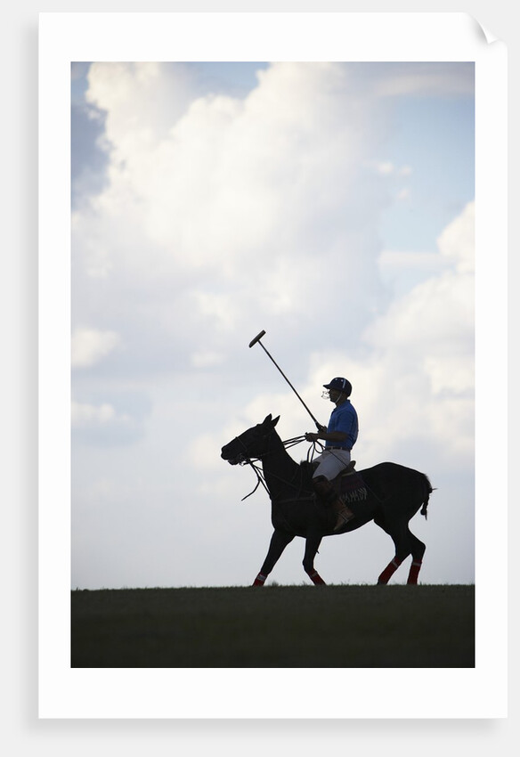 Polo player riding polo pony by Anonymous