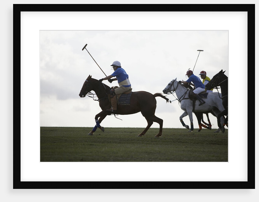 Polo game by Anonymous