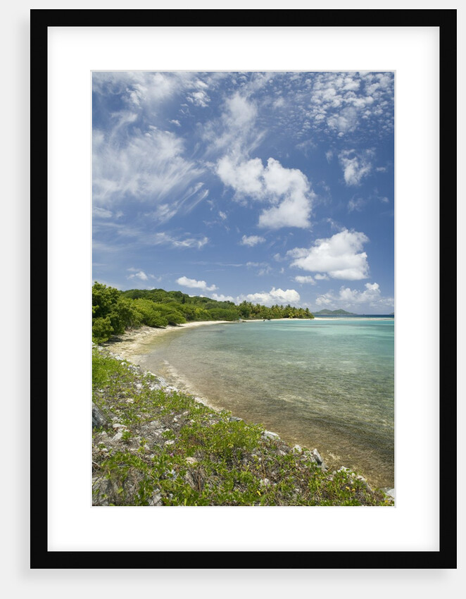 Beach at Well Bay, Beef Island, Tortola, British Virgin Islands by Anonymous