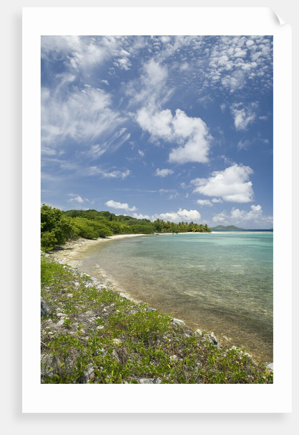 Beach at Well Bay, Beef Island, Tortola, British Virgin Islands by Anonymous