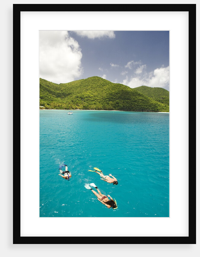 Snorkeling in Hawksnest Bay at St. John Island by Anonymous