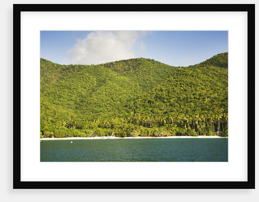 Cinnamon Bay by Anonymous