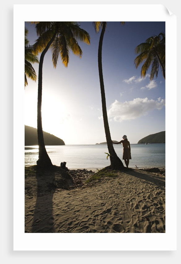 Woman Standing on Beach on Maho Bay by Anonymous