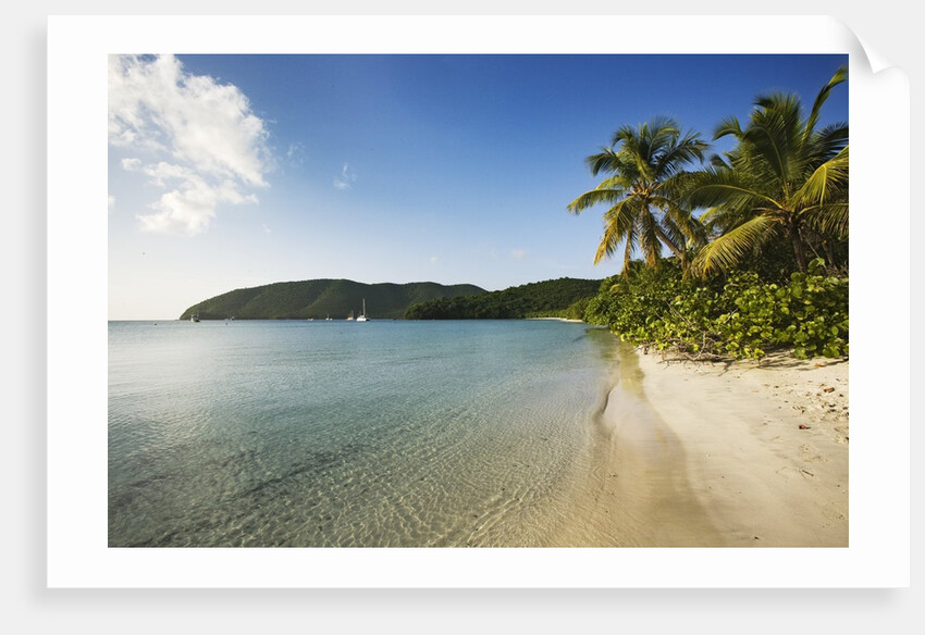 Maho Bay Beach by Anonymous