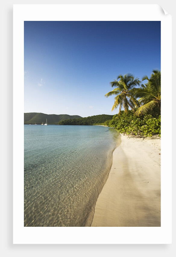 Beach on Maho Bay by Anonymous