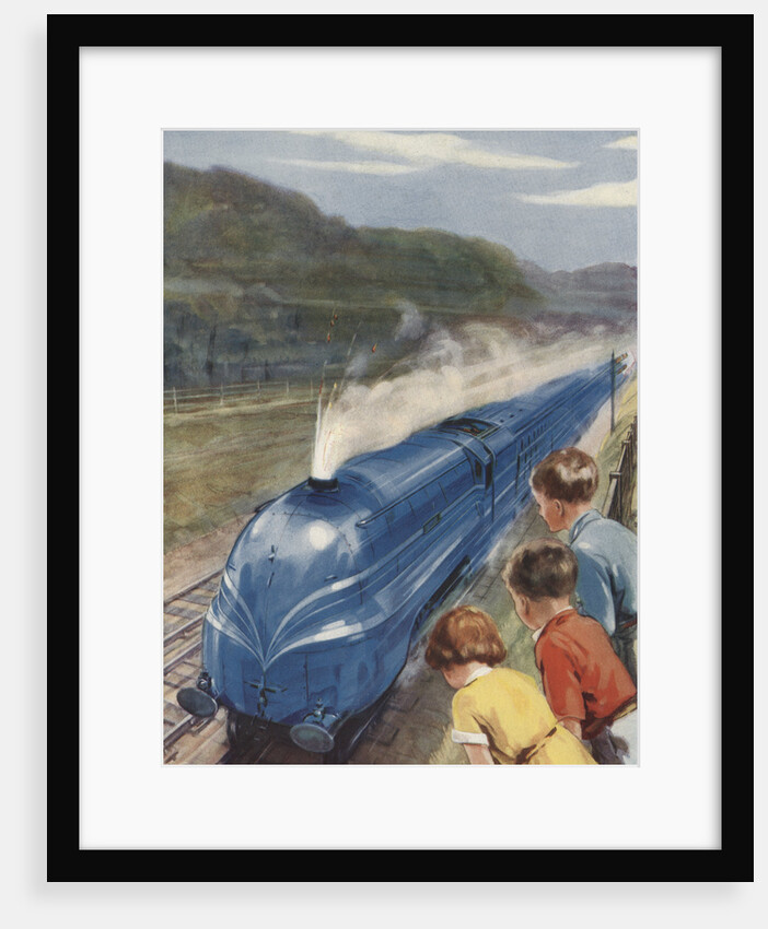 Coronation Scot by F.T. Steerwood