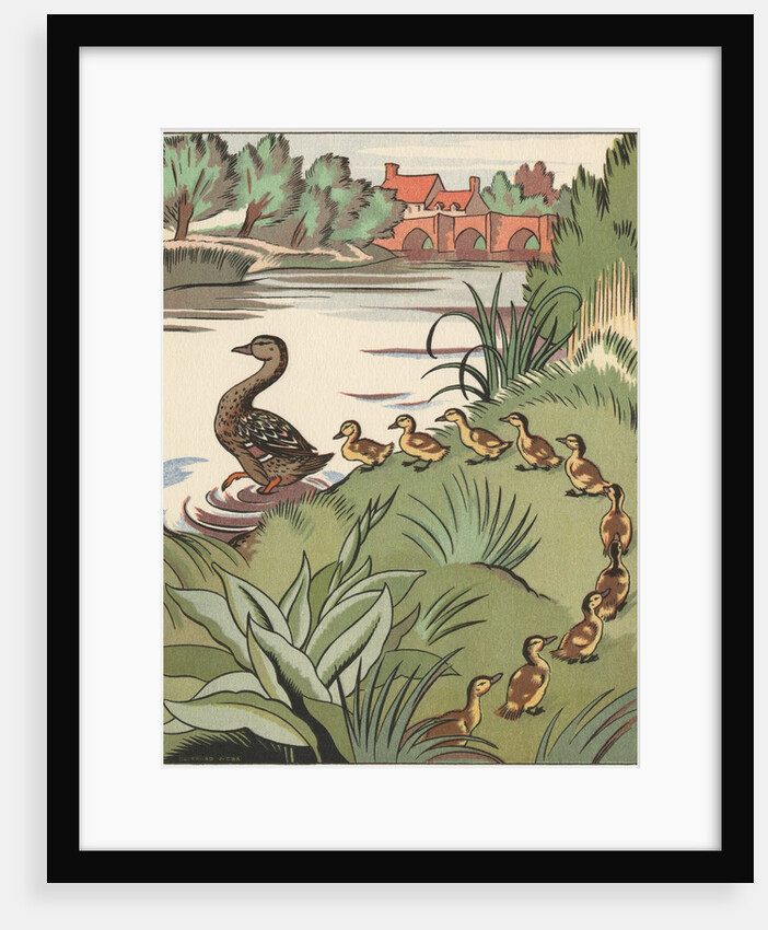 Book Illustration of Mother Duck and Ducklings by Clifford Webb