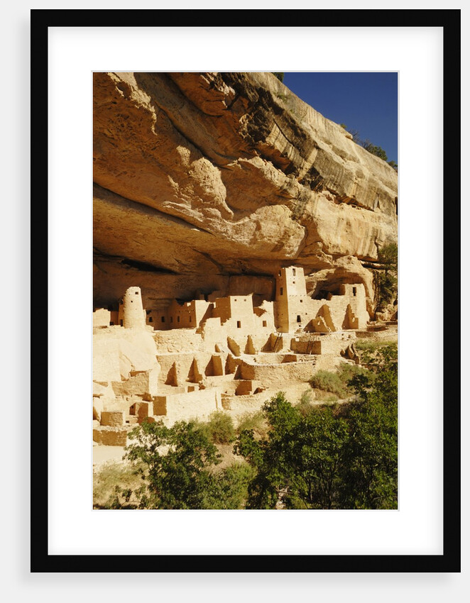 Cliff Palace in Mesa Verde National Park by Anonymous