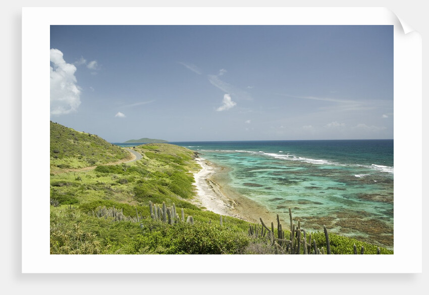 Countryside and Ocean on St. Croix by Anonymous