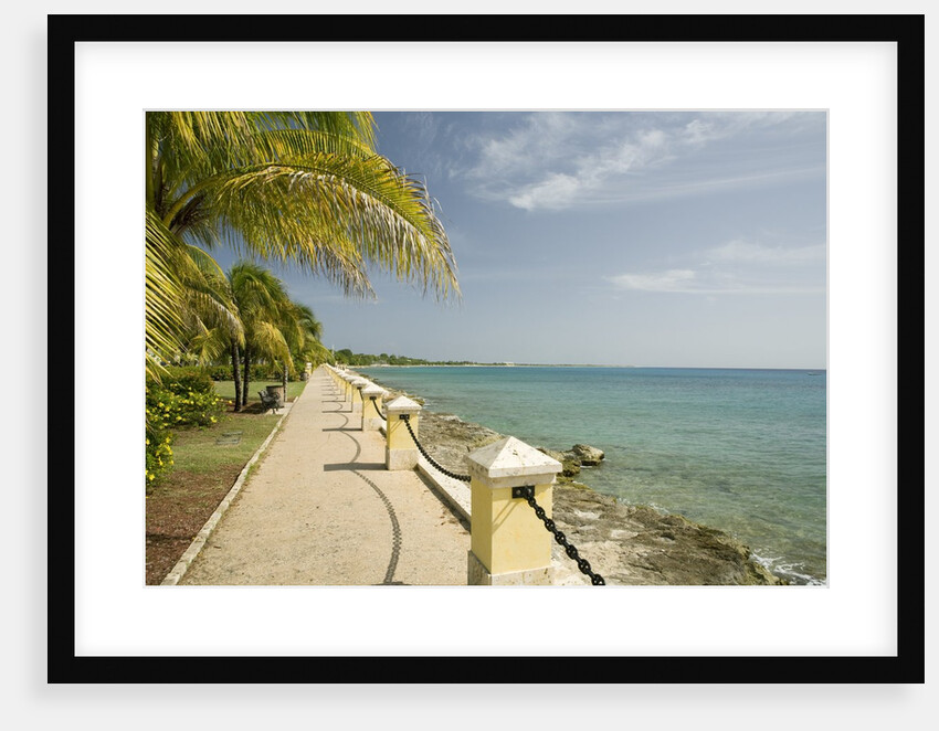 Waterfront Path on Beach by Anonymous