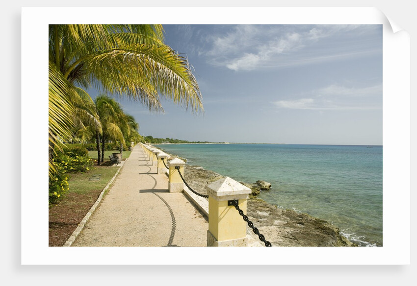 Waterfront Path on Beach by Anonymous