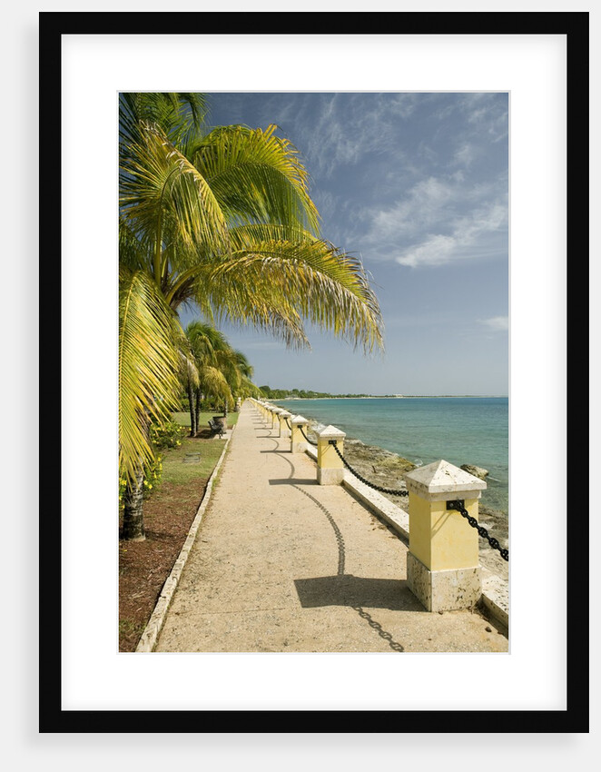 Waterfront Path on Beach by Anonymous