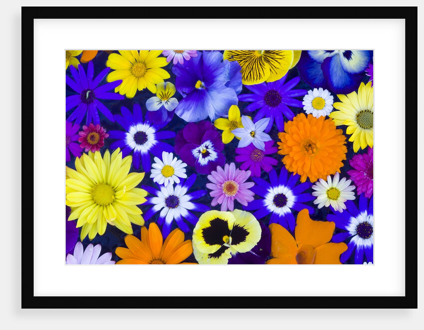 Flowers in Blues and Yellows by Anonymous