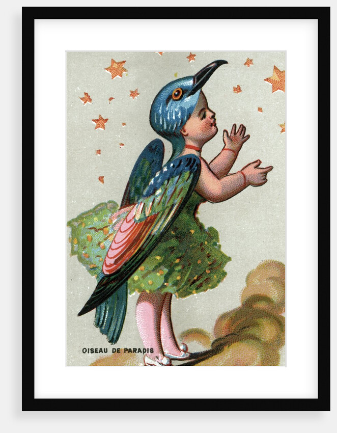 Illustration of Child Dressed in Bird of Paradise Costume by Anonymous
