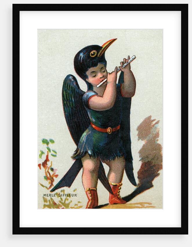 Illustration of Child Dressed in Blue Whistling Thrush Costume by Anonymous
