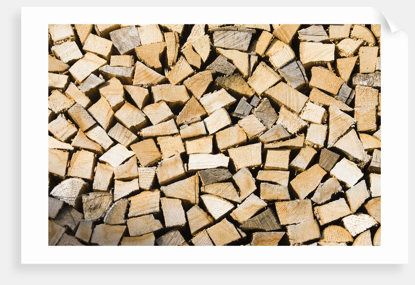 Stacked Firewood by Anonymous