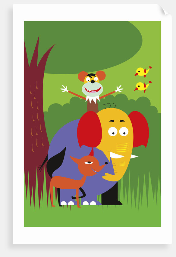 Animal Kingdom by Anonymous