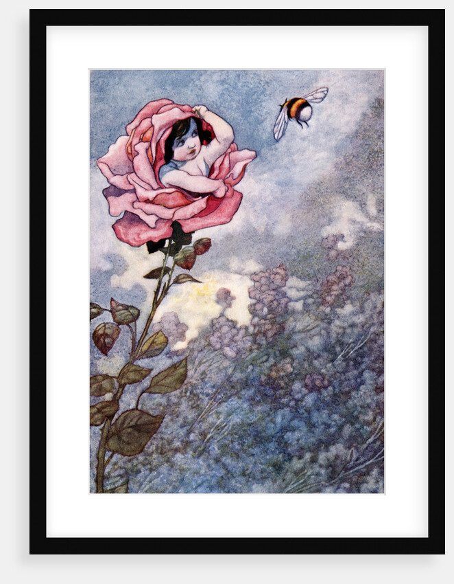 Illustration of Child Hiding in Rose by Charles Robinson