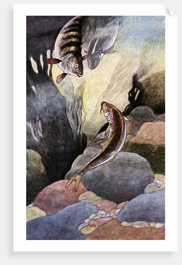 Illustration of Magical Fish by Charles Robinson