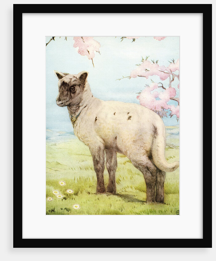 Illustration of Lamb by Edward Julius Detmold