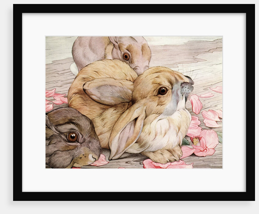 Illustration of Rabbits by Edward Julius Detmold