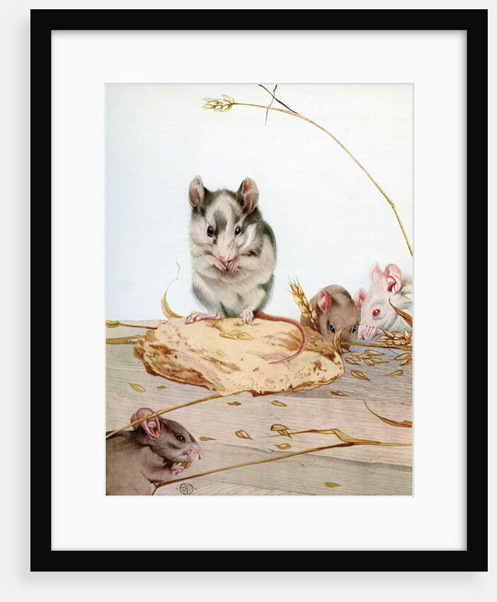 Illustration of Mice by Edward Julius Detmold