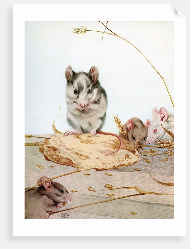 Illustration of Mice by Edward Julius Detmold
