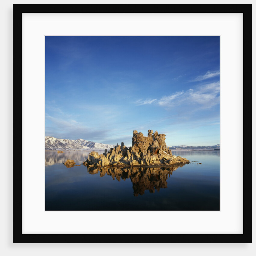 Rock Formations in Mono Lake by Anonymous