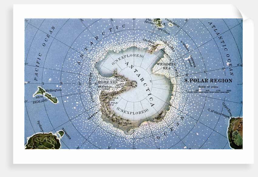 Map of Amundsen and Scott's South Pole Expeditions by Anonymous