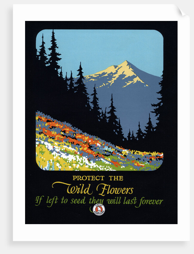 Protect the Wild Flowers Poster by Anonymous