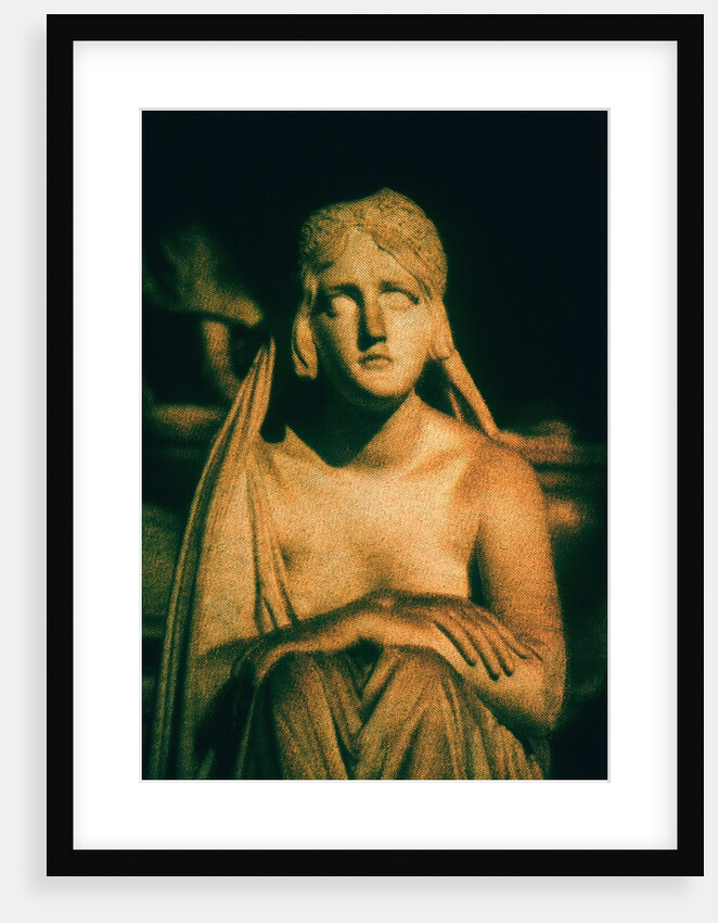 Roman Statue by Andre Burian