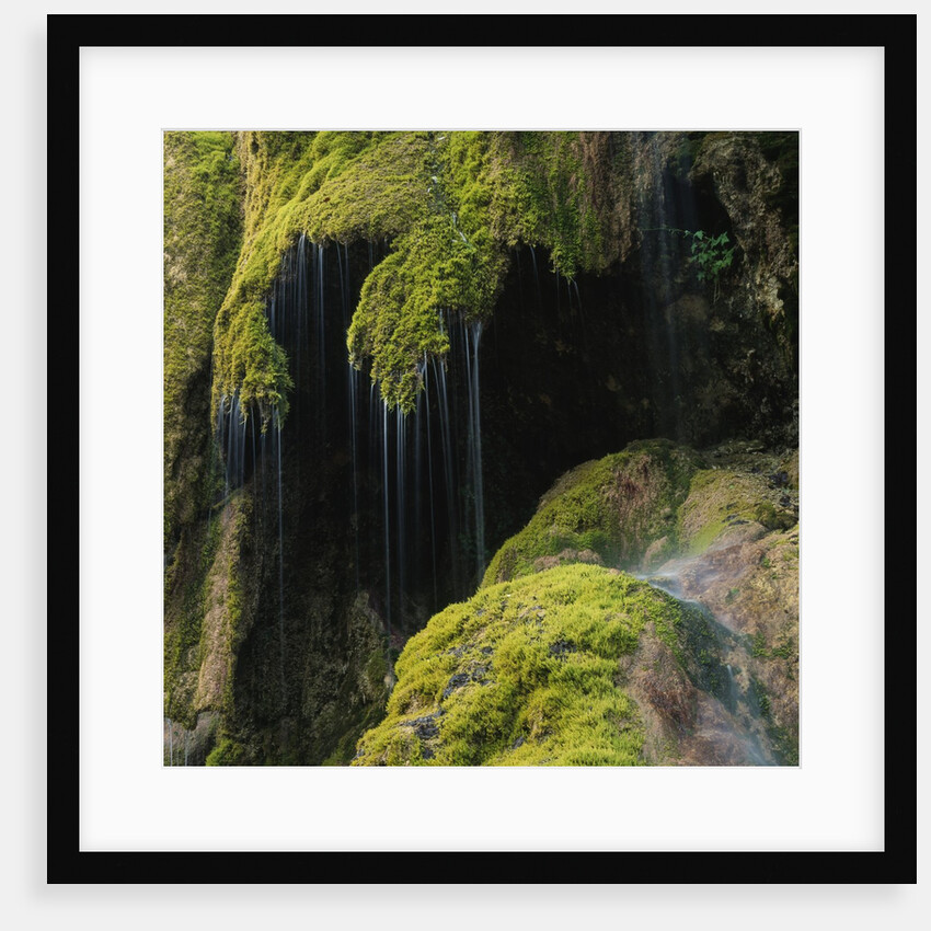 Water Running down Vegetation Covered Rocks by Anonymous